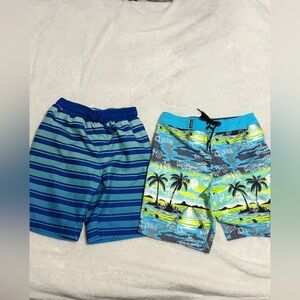 Bundle Blue Striped Swim Shorts